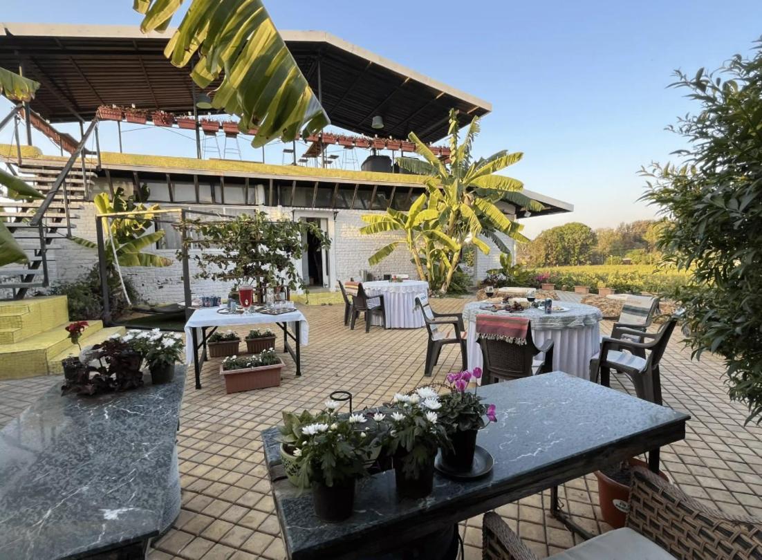 Saffronstays Onellaa, Nashik - Infinity Pool Villa Surrounded By A Vineyard Exterior photo